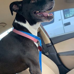 Meet your Posher, Sandra